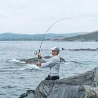 Daiwa 20 Crossfire LT Reels